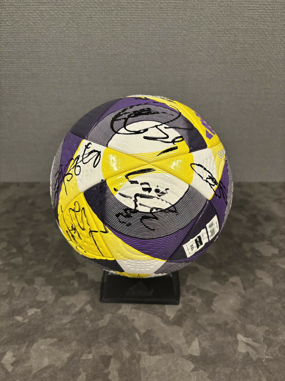 world ball2
