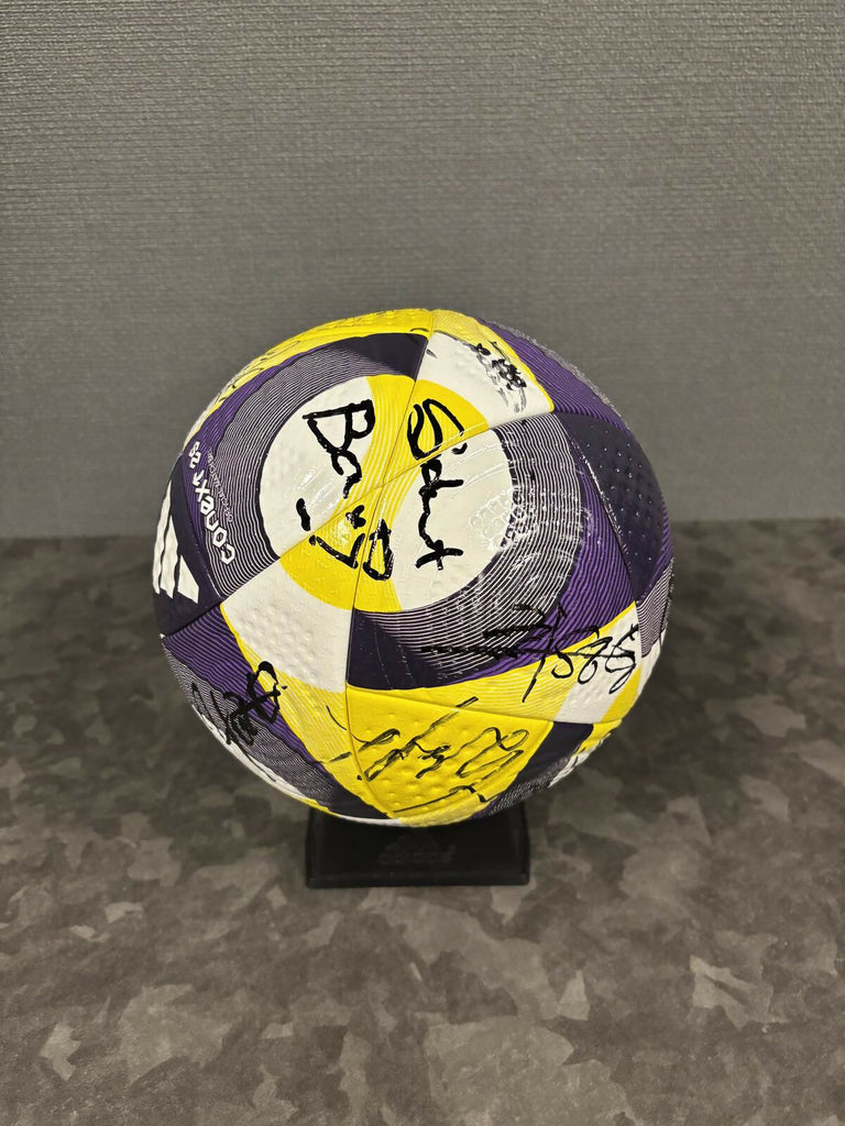 world ball 3