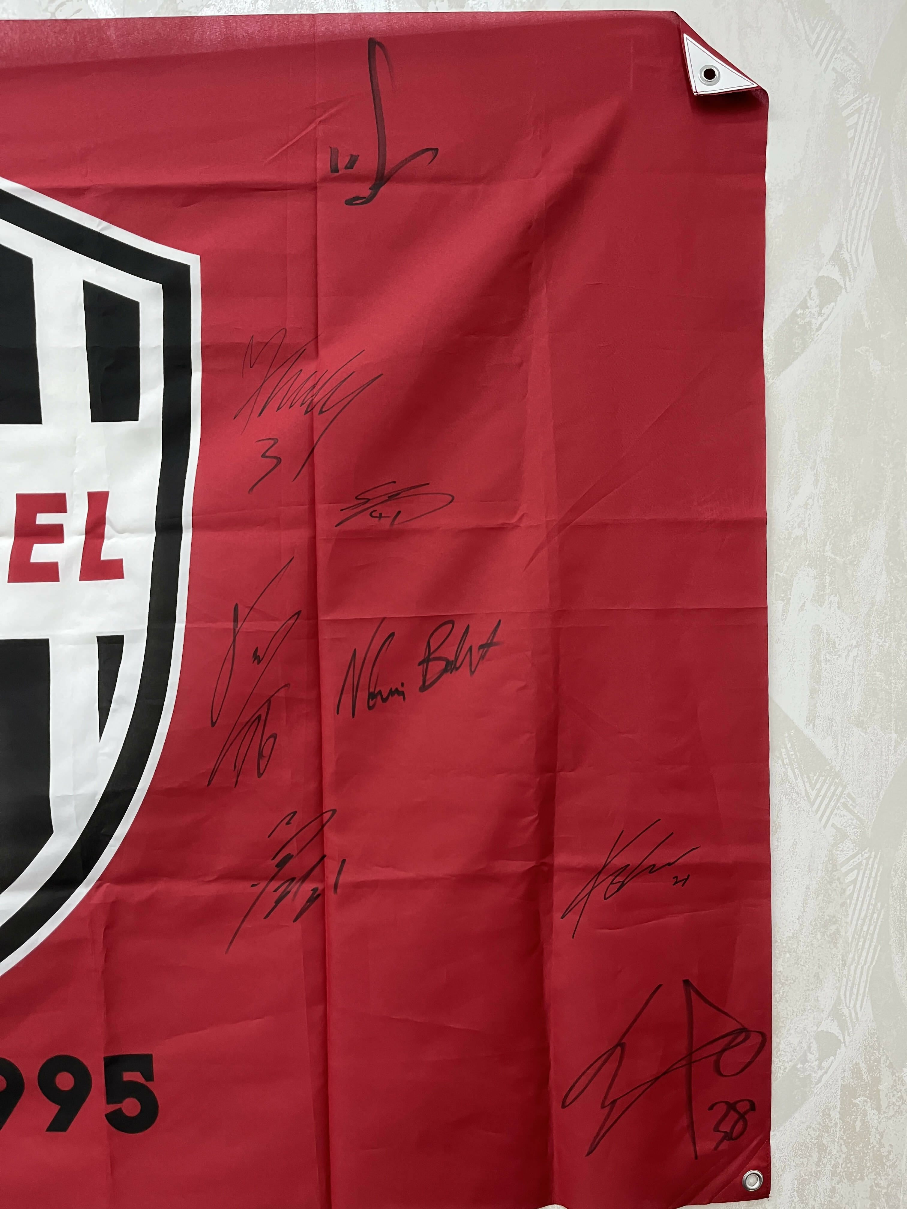 [複数選手] ビッグフラッグ (直筆サイン入り・限定品)